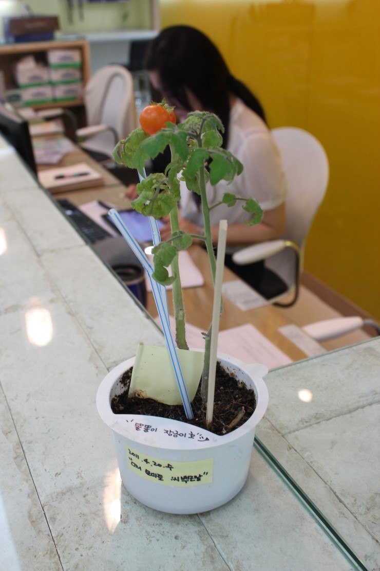 병원일기 이미지