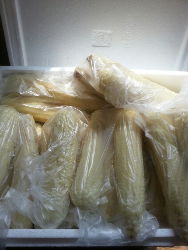 병원일기 이미지